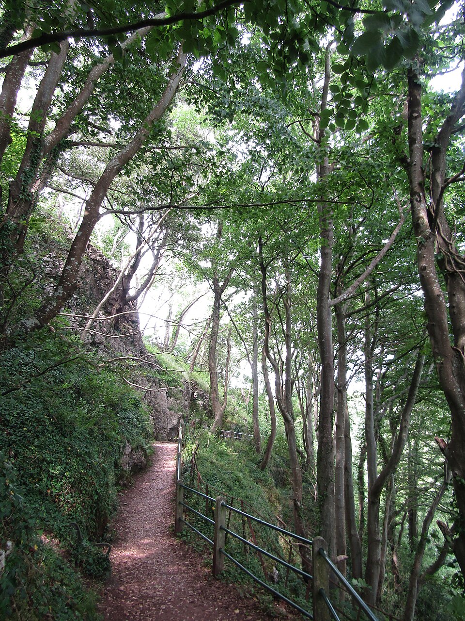 South West Coast Path around Torquay